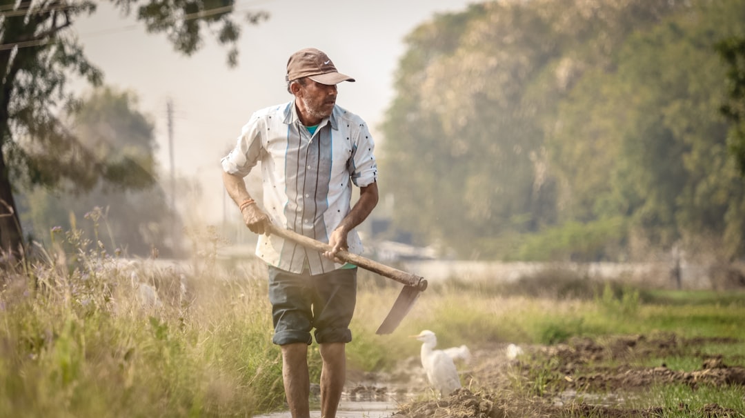 2026년 농지연금 제도 완벽 가이드 | 고령 농업인의 소득 보장 방법